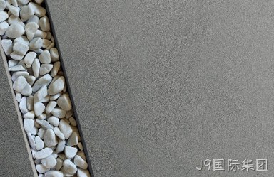 大理瑞加漆业有限公司