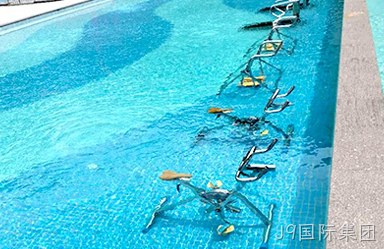 大理菲麦斯健康科技有限公司